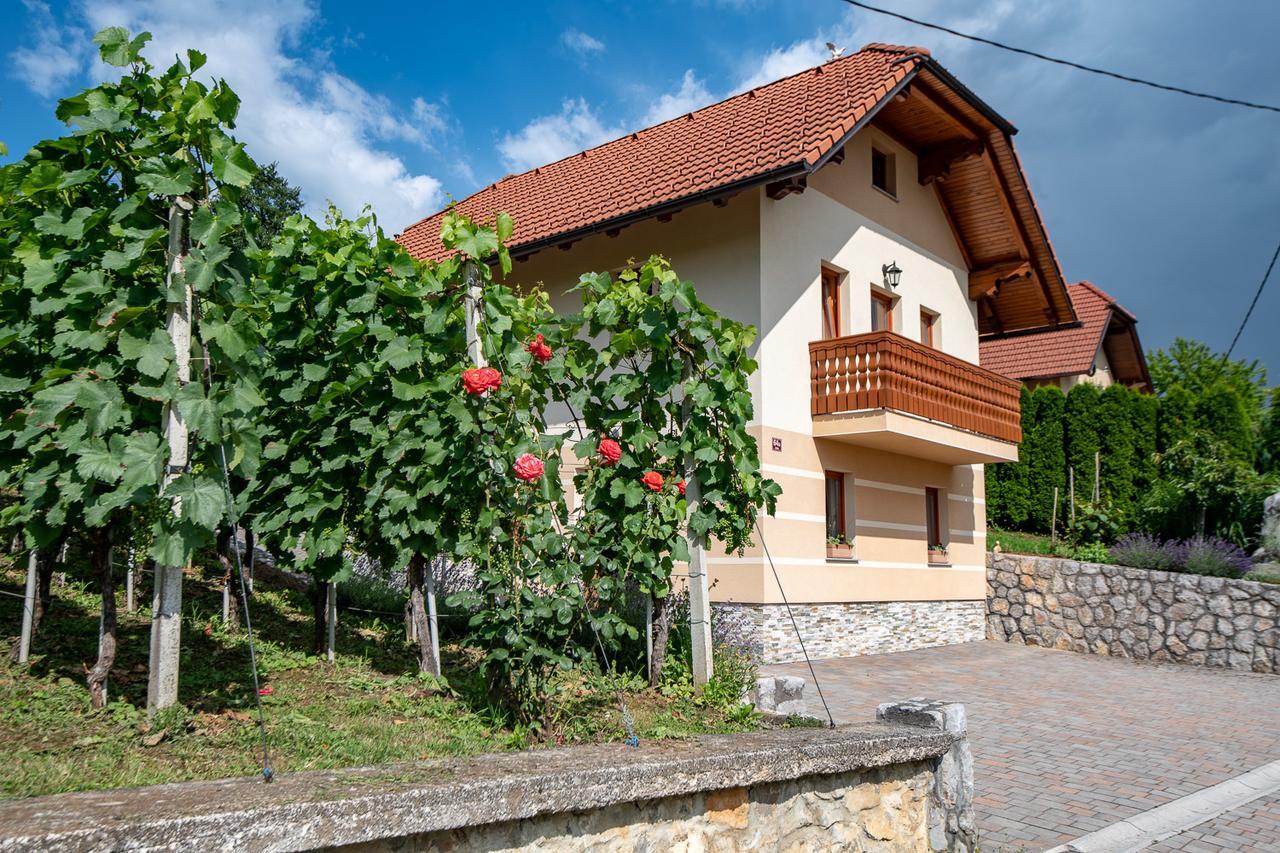 Dobrnic Vineyard Cottage Pod Piramido מראה חיצוני תמונה