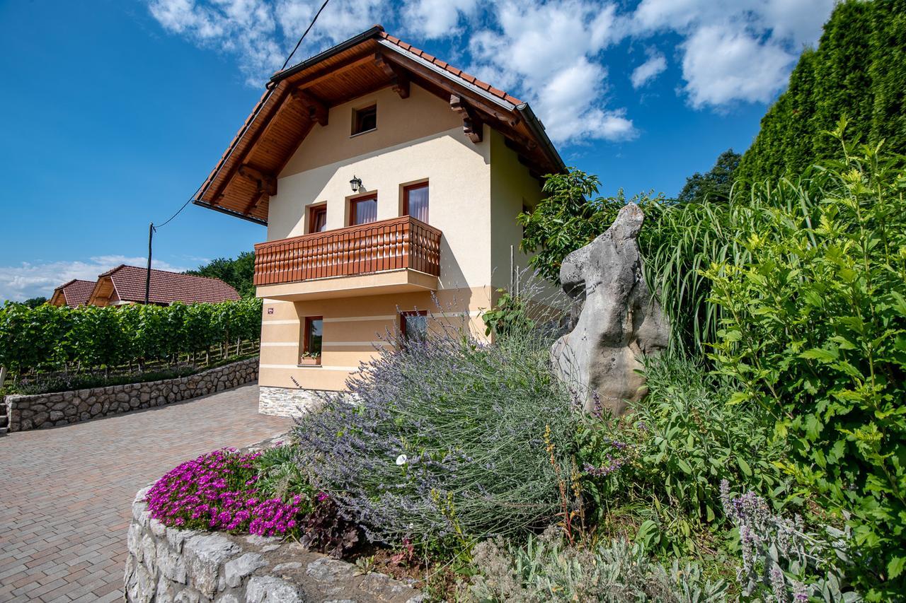 Dobrnic Vineyard Cottage Pod Piramido מראה חיצוני תמונה