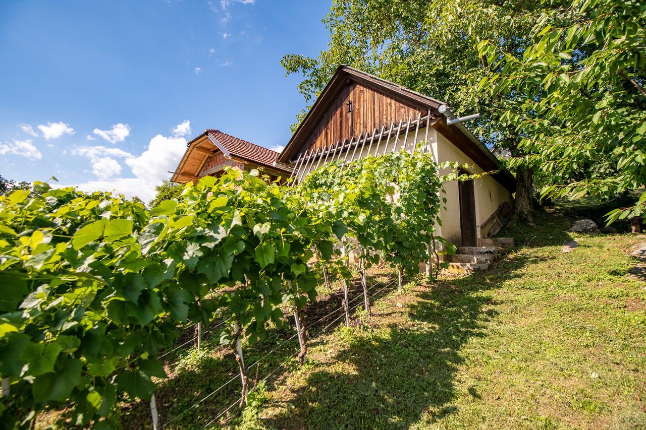Dobrnic Vineyard Cottage Pod Piramido מראה חיצוני תמונה